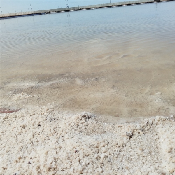 small4_17155812533768522